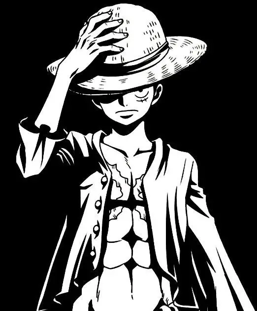Ekspresi Karakter dalam Gambar Hitam Putih Gambar potrait karakter One Piece hitam putih, menampilkan ekspresi dan detail wajah karakter